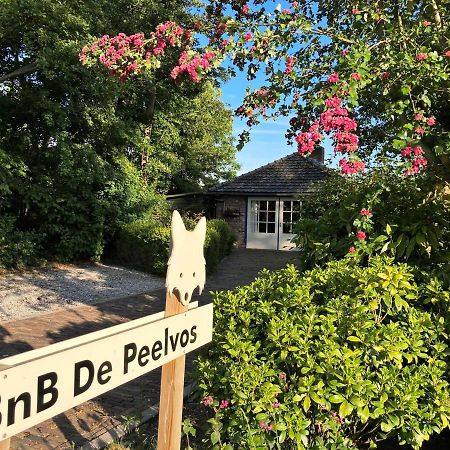 Bnb De Peelvos Deurne Esterno foto
