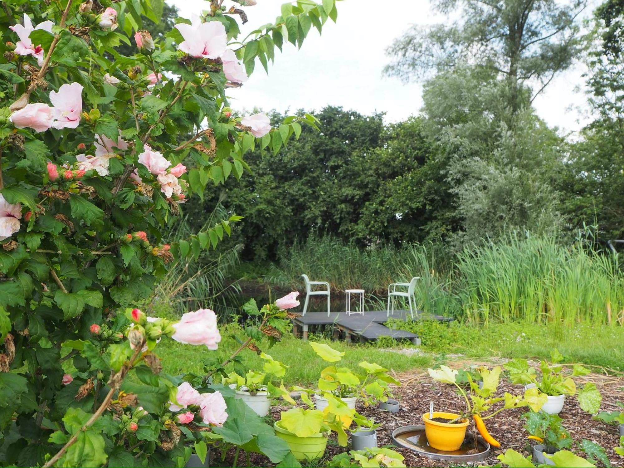 Bnb De Peelvos Deurne Esterno foto